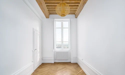 havah appartement lyon 19